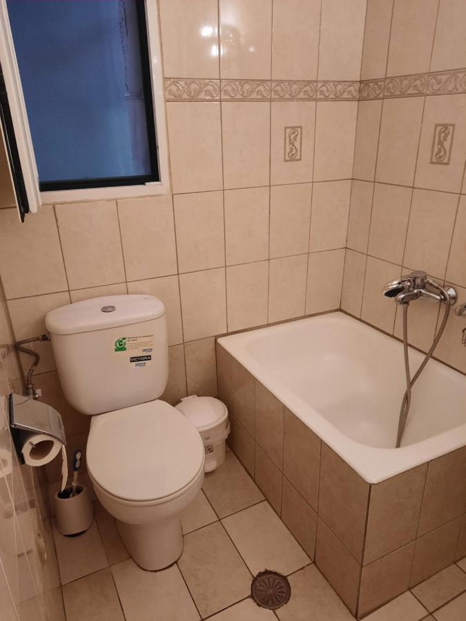 アテネLousi Houseアパートメント エクステリア 写真